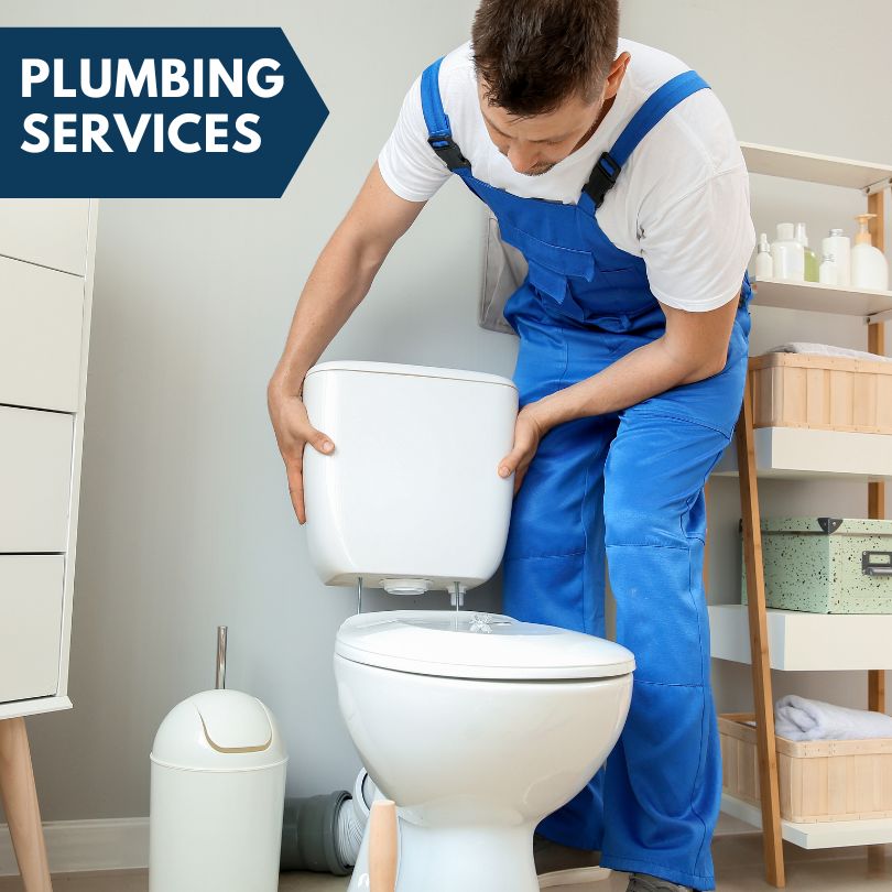 Plumbing Company in Britton, MI